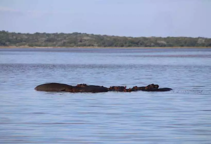 Montebelo Milibangalala Bay Resort