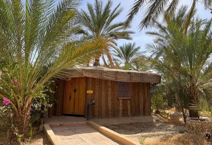 پانسیون Dar Horchani