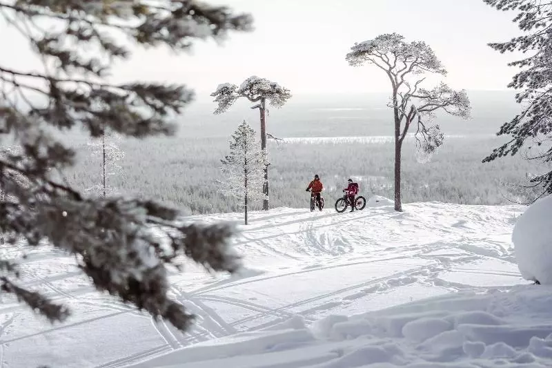 Ski Inn Pyhäsuites