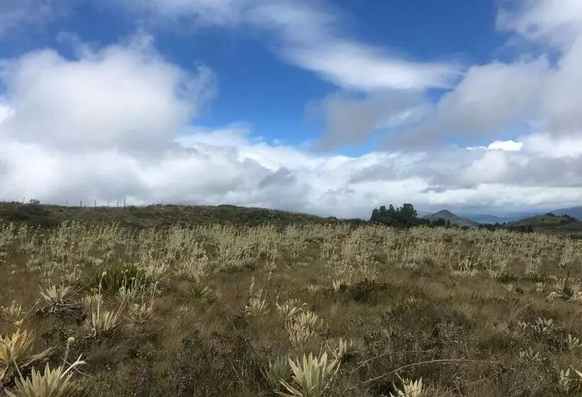Aamiaismajoitus (B&B) Alondra Posada Turística, Escape Con Chimenea A Una Hora De Bogotá