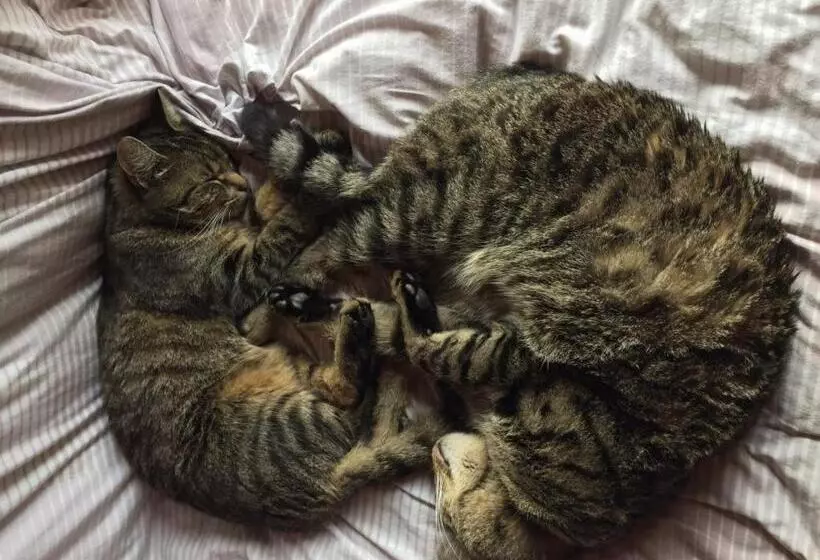 Majatalo Kaiserhaus Harald Astner Ebbs Studio 1