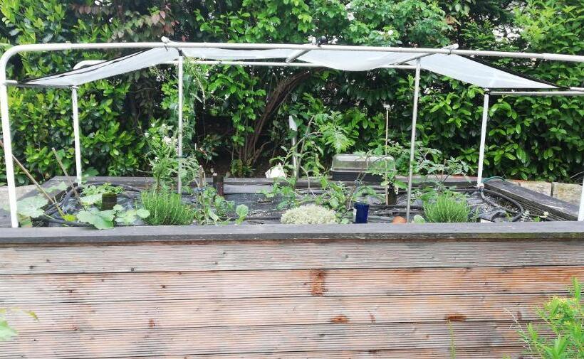 פנסיון Kaiserhaus Harald Astner Ebbs Studio 1