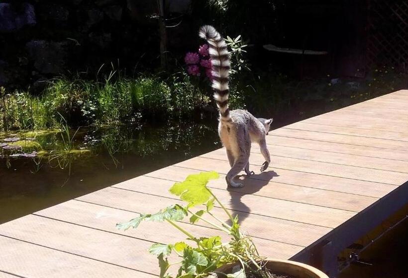 פנסיון Kaiserhaus Harald Astner Ebbs Studio 1