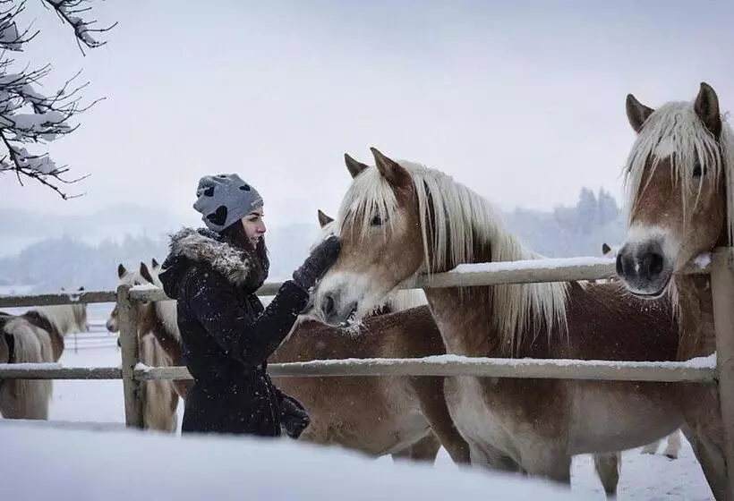 Majatalo Kaiserhaus Harald Astner Ebbs Studio 1