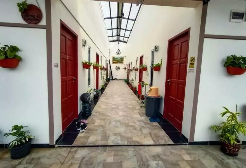 پانسیون Duta Spring Homes 3