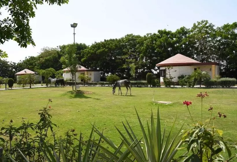Hotelli The Desert Den  Little Rann Of Kutch