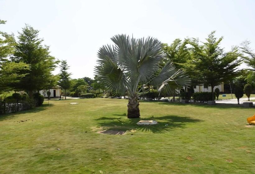 Hotel The Desert Den Little Rann Of Kutch