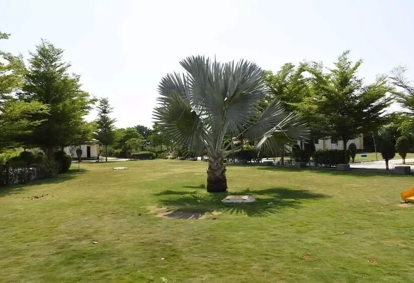 Hotelli The Desert Den  Little Rann Of Kutch