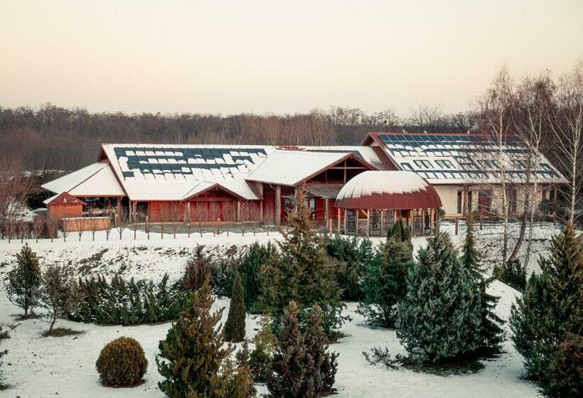 ペンション Robinia Rooms