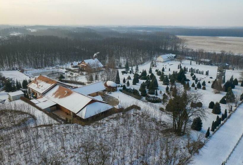 ペンション Robinia Rooms