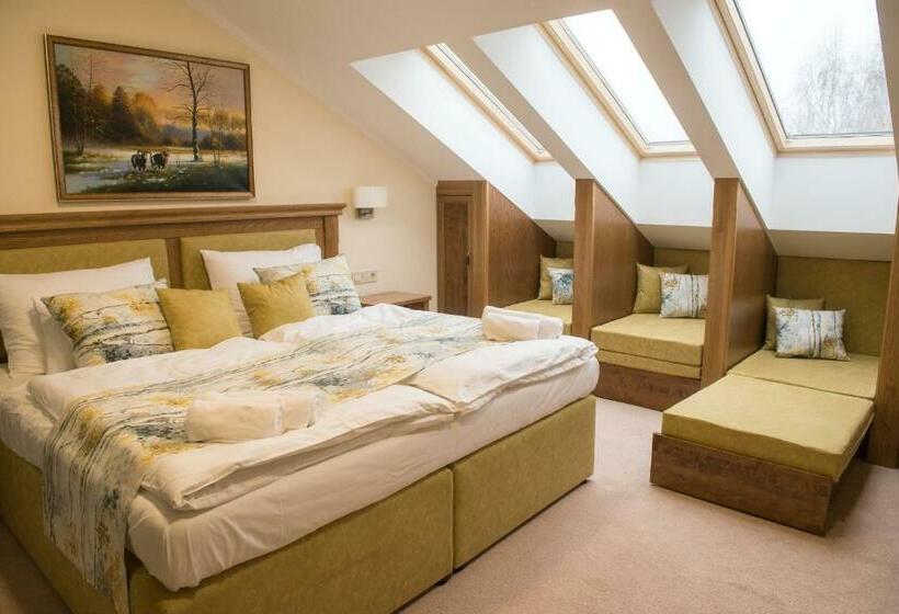 ペンション Robinia Rooms