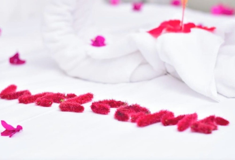 膳宿费 Sea Crest Hotel Zanzibar