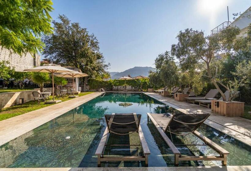 בית מלון כפרי Massi Near The Sea