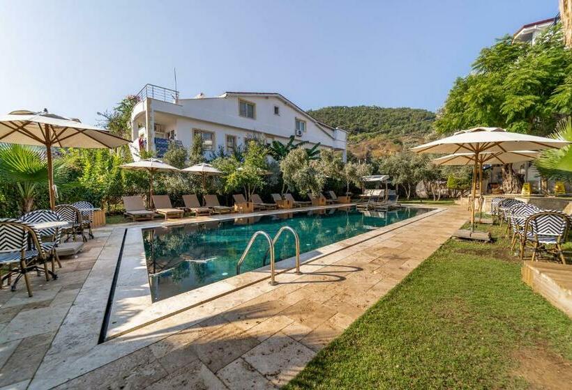 בית מלון כפרי Massi Near The Sea