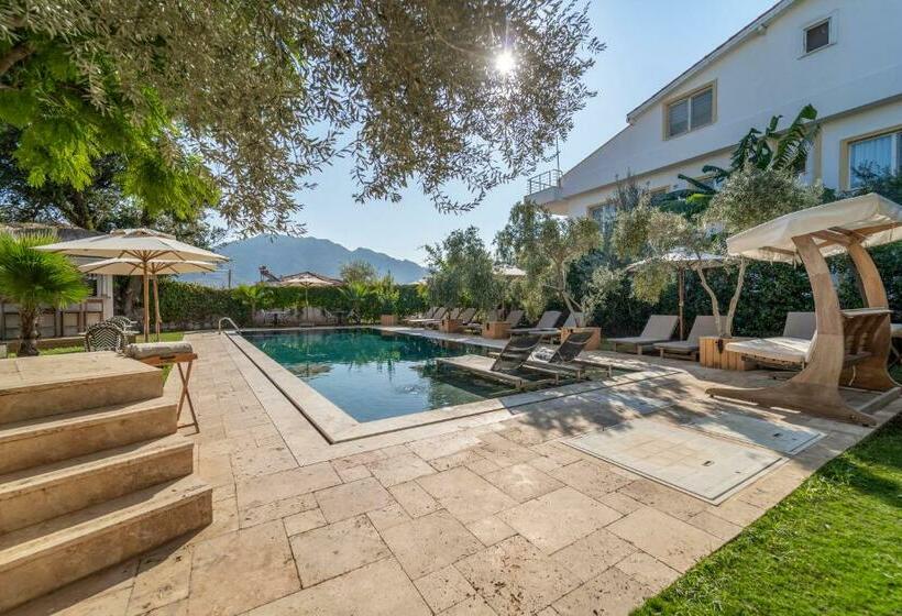 בית מלון כפרי Massi Near The Sea