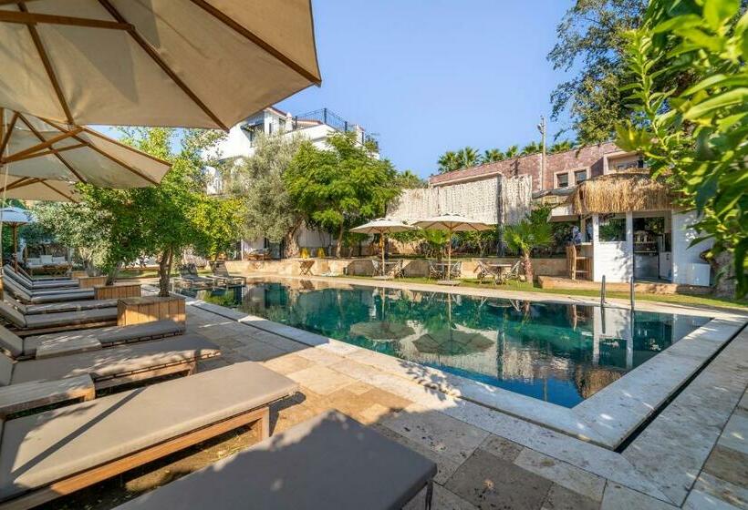 בית מלון כפרי Massi Near The Sea