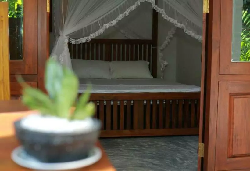 Pension Aurora Midigama