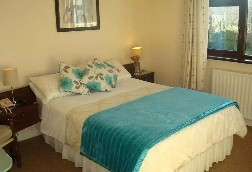 住宿加早餐 Athlumney Manor Guest Accommodation