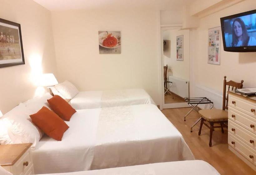 Bed and Breakfast Athlumney Manor Guest Accommodation