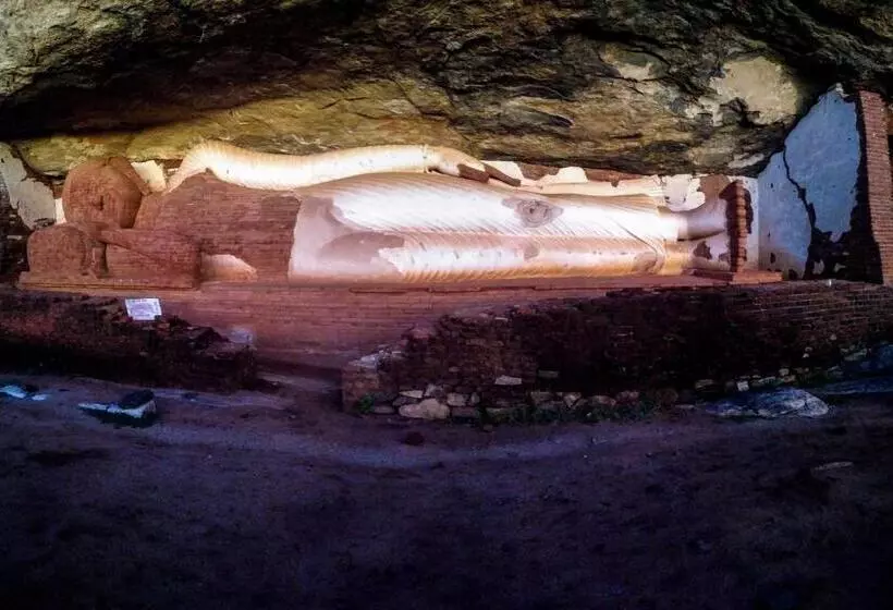 Camellia Resort And Spa