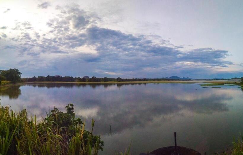 Camellia Resort And Spa