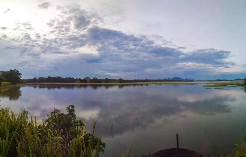 Camellia Resort And Spa