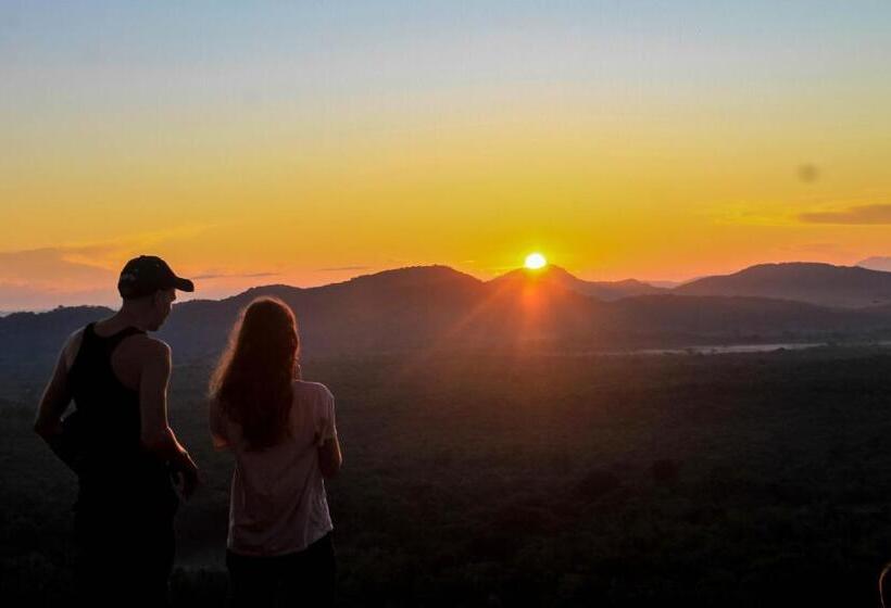 Camellia Resort And Spa