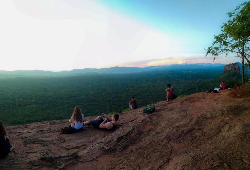 Camellia Resort And Spa