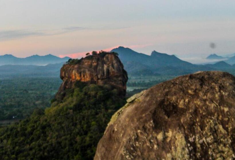 Camellia Resort And Spa