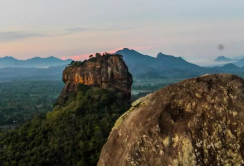 Camellia Resort And Spa