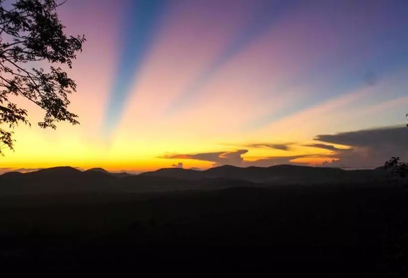 Camellia Resort And Spa