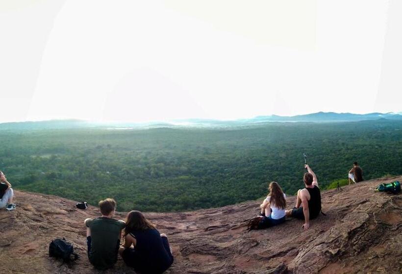 Camellia Resort And Spa