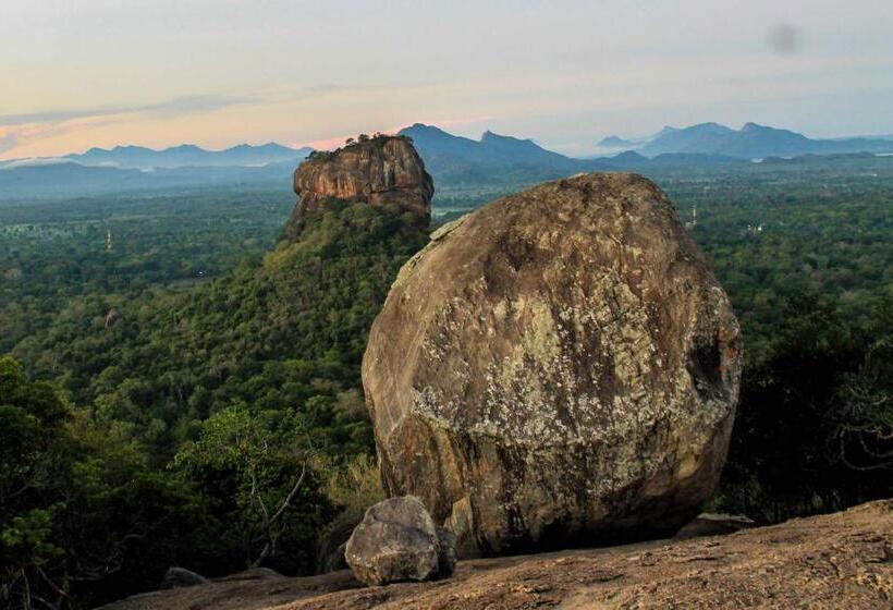 Camellia Resort And Spa