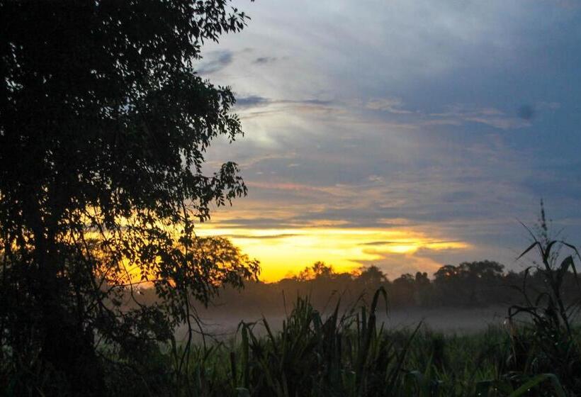 Camellia Resort And Spa