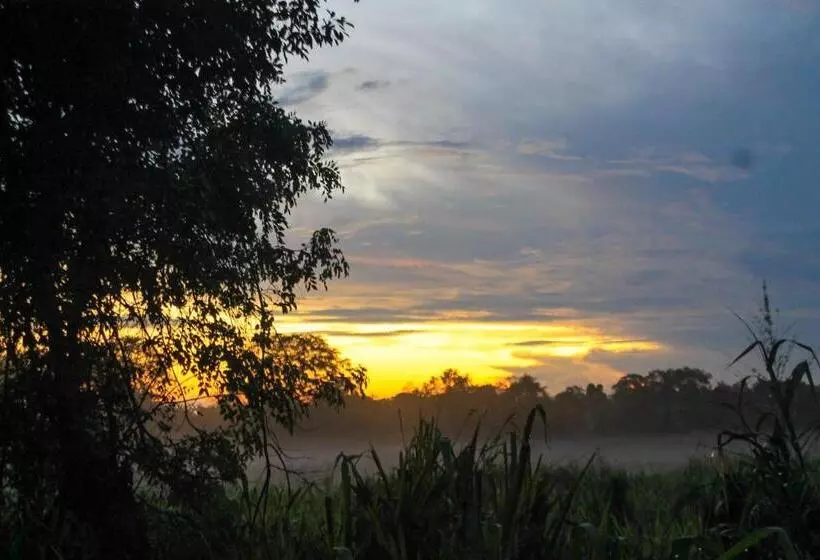 Camellia Resort And Spa