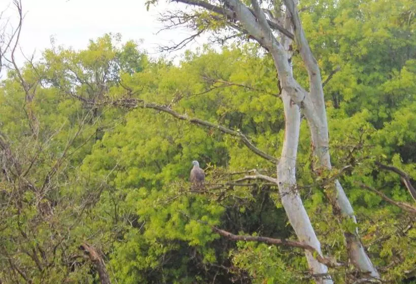 Camellia Resort And Spa