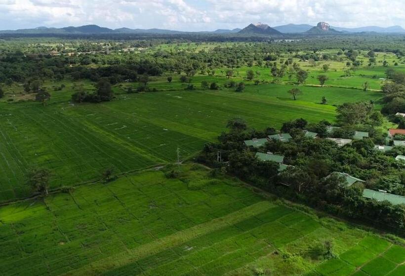 Camellia Resort And Spa