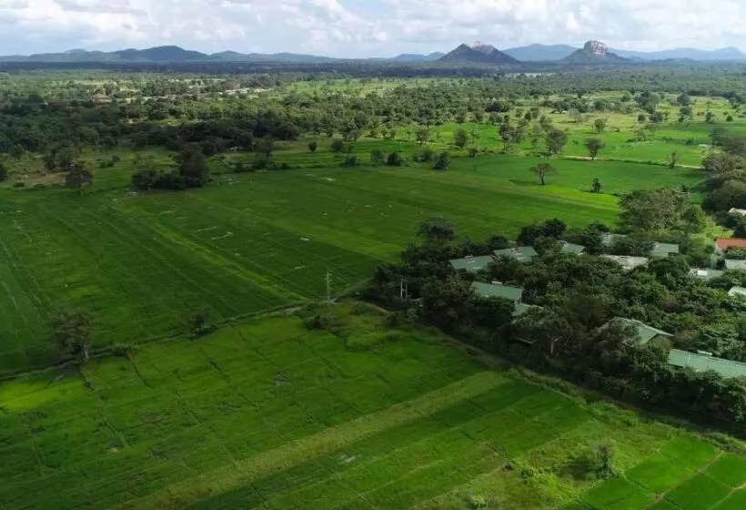 Camellia Resort And Spa