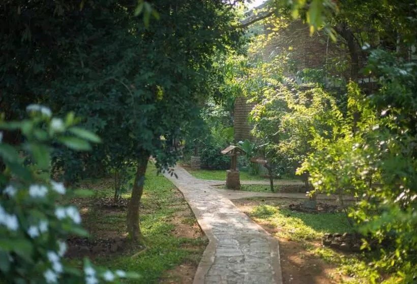 Camellia Resort And Spa