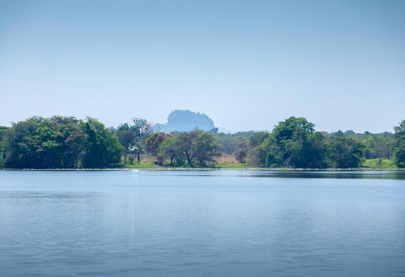 Camellia Resort And Spa