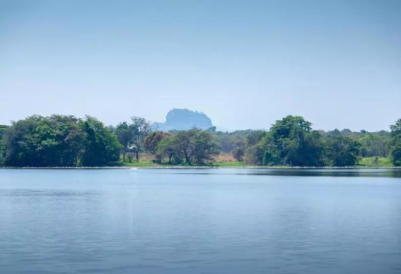 Camellia Resort And Spa