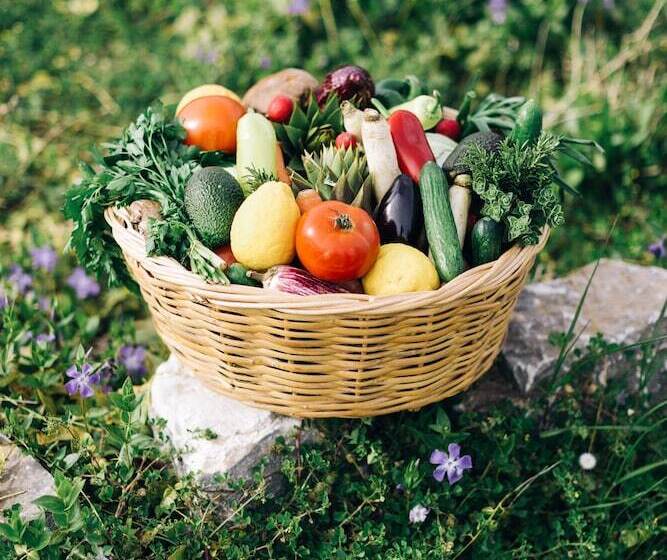 فندق Delina Mountain Resort