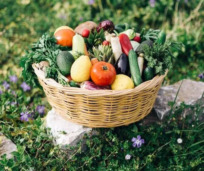 هتل Delina Mountain Resort