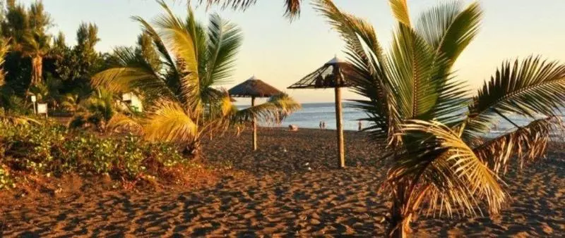 هتل Exsel Floralys