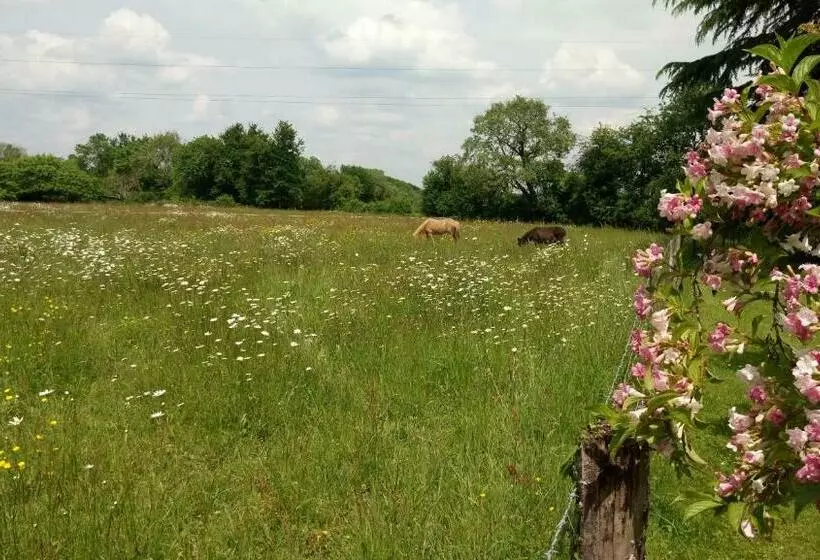 Aamiaismajoitus (B&B) Le Moulin De La Retardière