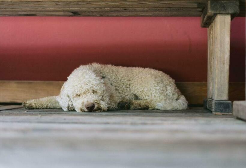 住宿加早餐  Monschein Weingut Straden