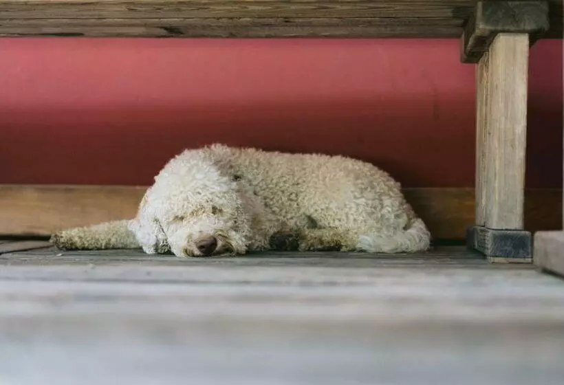 Aamiaismajoitus (B&B) Monschein Weingut Straden