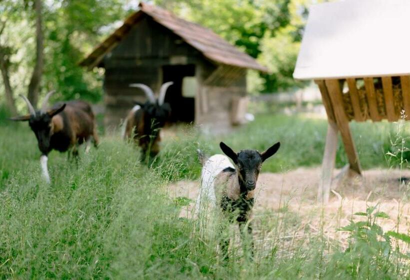 住宿加早餐  Monschein Weingut Straden
