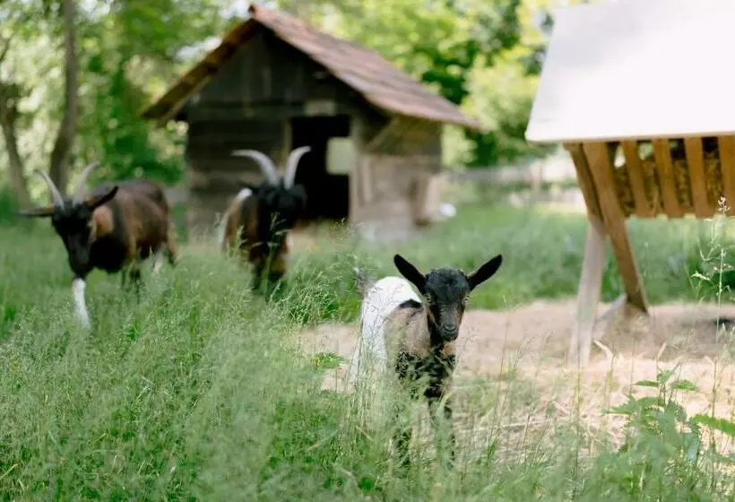 Aamiaismajoitus (B&B) Monschein Weingut Straden
