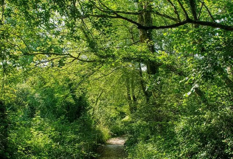 Cusgarne Manor Boutique B&b   Adults Only